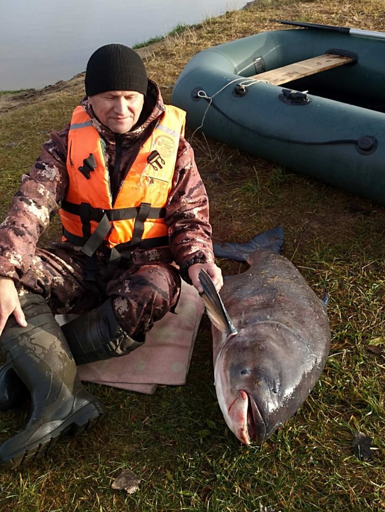 изображение_viber_2025-11-14_08-58-48-264.jpg изображение_viber_2025-11-14_08-58-48-264.jpg