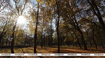 До +11°С будет сегодня в Беларуси