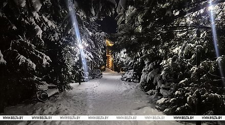 Снег и гололедицу прогнозируют сегодня в Беларуси 