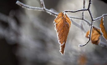 Слабый туман и гололед ожидаются в Беларуси 16 ноября