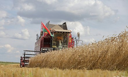 На Гродненщине намолочено 1 млн 892 тыс.тонн зерновых