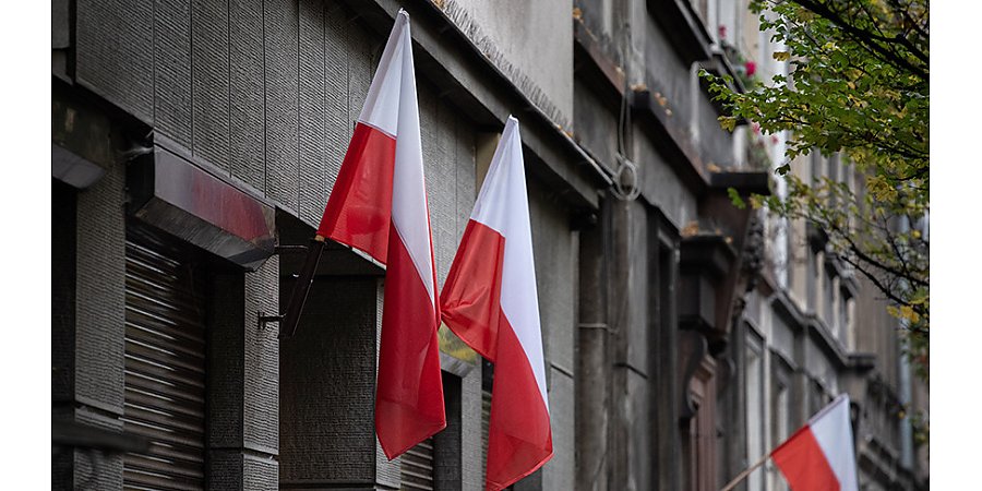 Враг внутри? Что показала история с подготовкой теракта в Польше
