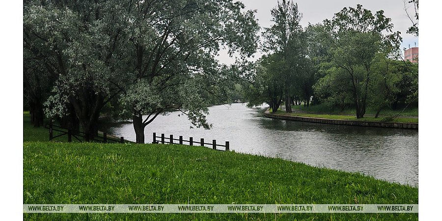 Ветрено и дождливо: какой будет погода в Беларуси 28 мая