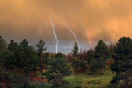 Шквалистый ветер, ливни и грозы. Оранжевый уровень опасности объявлен в Беларуси на 10 августа