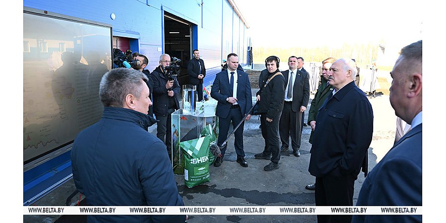 Развитие юго-востока Могилевской области стало темой совещания у Александра Лукашенко