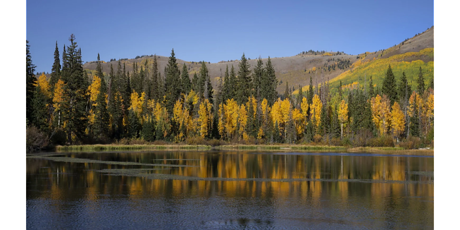 Народные приметы на 21 сентября: что можно и нельзя делать в этот день