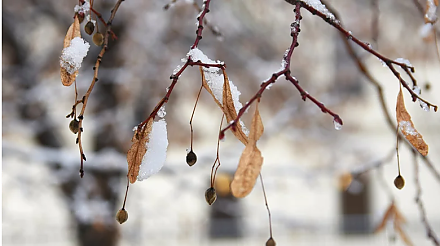 Испеките колобок: народные приметы на 5 марта 