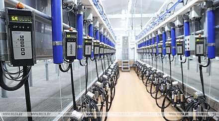 Нормативы стоимости на 2026 год при строительстве молочнотоварных ферм определены в Беларуси 