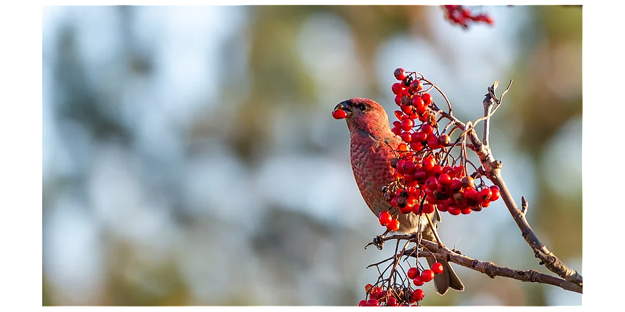 Народные приметы на 23 сентября: что можно и нельзя делать в этот день