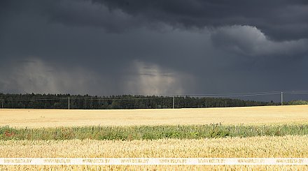 Оранжевый уровень опасности из-за гроз объявлен в Беларуси 15 июля