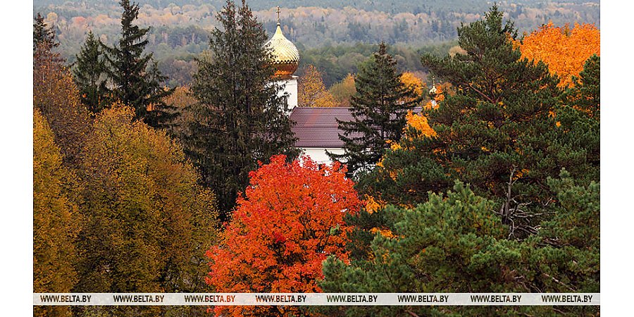 Дождливо и облачно. Какой будет погода в Беларуси 30 октября