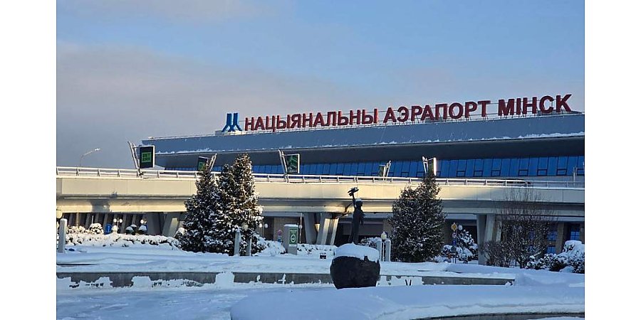 В Национальном аэропорту «Минск» усилен контроль из-за опасного вируса Нипах