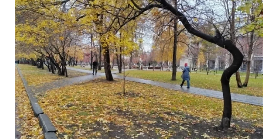 Народные приметы на 27 октября: что можно и нельзя делать в этот день