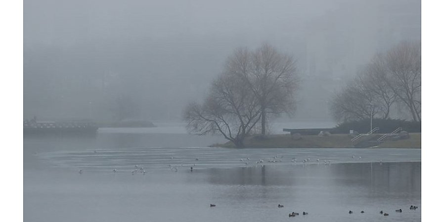 Чего ждать от погоды в Беларуси 26 февраля, сообщили синоптики