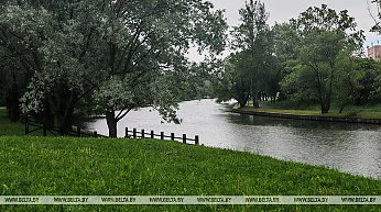 Ветрено и дождливо: какой будет погода в Беларуси 28 мая