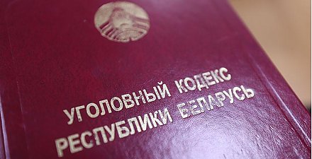 Депутаты приняли в первом чтении законопроект по вопросам уголовной ответственности