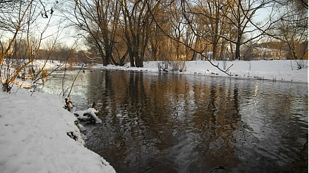 Сварите уху на ужин: народные приметы на 26 марта