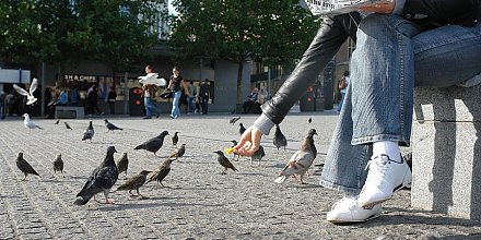 Белорусам грозит большой штраф за «доброе дело»: за что и какова сумма