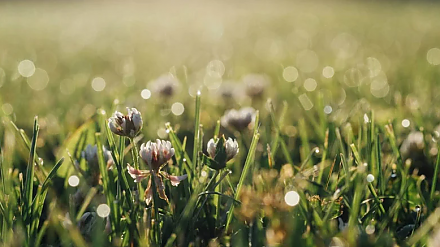 Народные приметы на 25 июля: что можно и нельзя делать в этот день