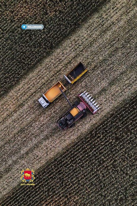 В Гродненской области намолочено 2 млн тонн зерновых с учетом рапса и кукурузы