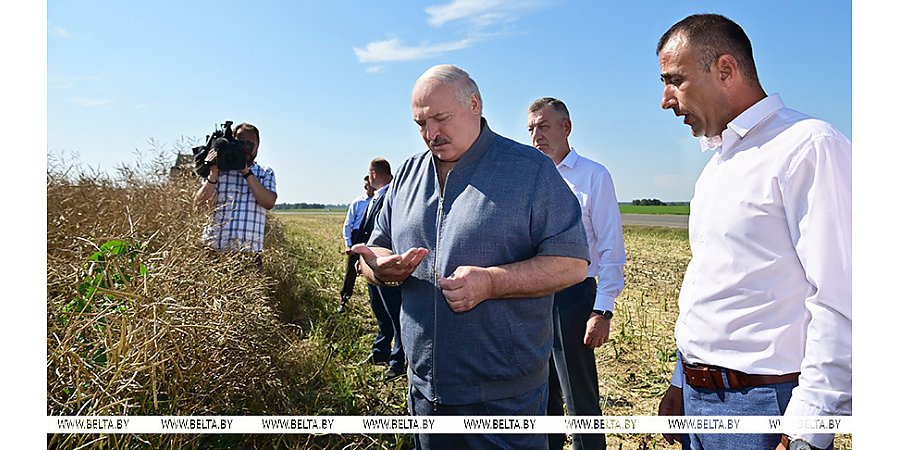 Планы в промышленности, неожиданная инспекция в полях и переговоры на Валааме. Итоги недели Президента