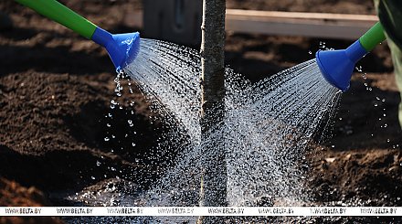 Республиканский субботник проходит в Беларуси