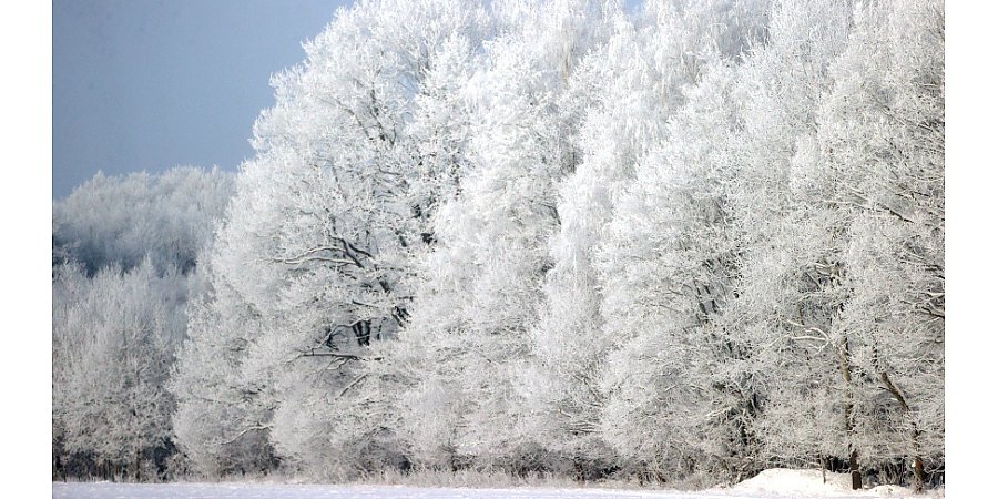 До -16°С и без осадков. Какой будет погода в Беларуси сегодня