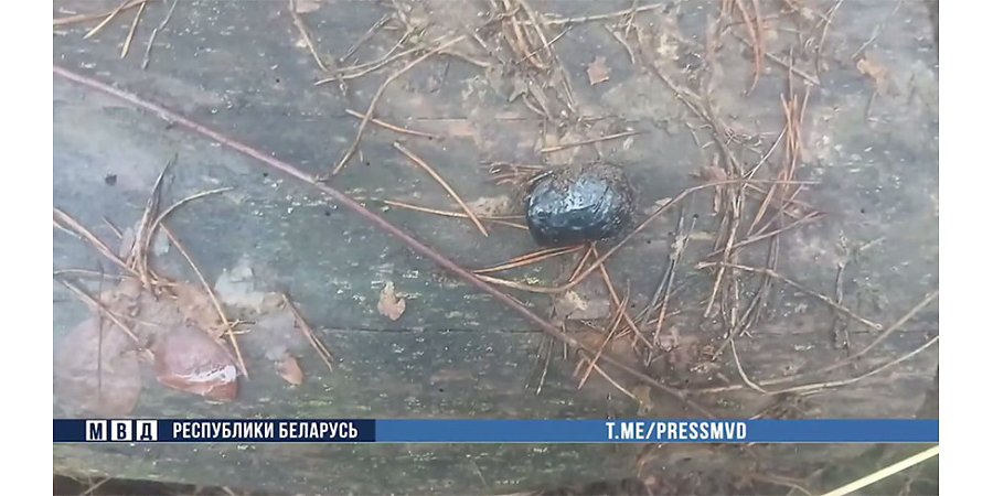 Успели "поработать" около двух недель. Школьницы из Могилевской области распространяли наркотики