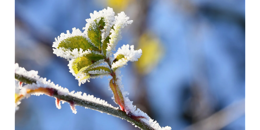 Умойтесь с утра «серебряной» водой: народные приметы на 16 марта