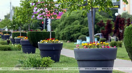 В Беларуси определили лучшие область, районы и населенные пункты по итогам Года благоустройства 