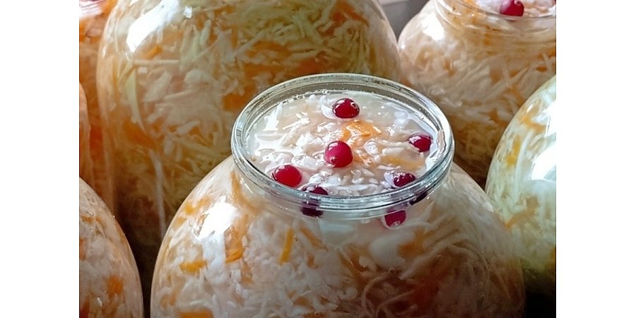 Когда квасить капусту в ноябре 2025: почему заготовка получается только в "мужские дни" и на растущую Луну?