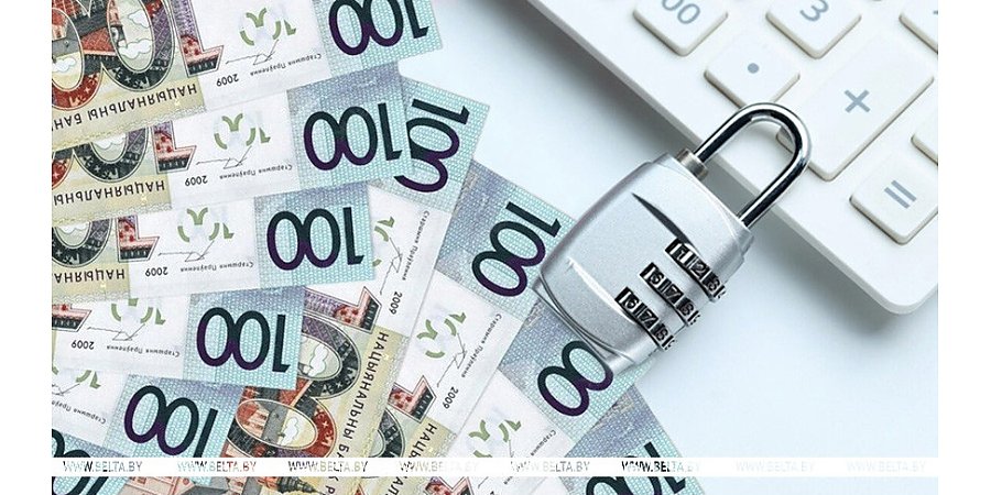 Льготы и госпрограммы. Как в Беларуси обеспечивают равные возможности, рассказали в Минтруда