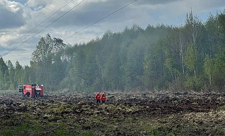 Из-за аномально сухой погоды в Гродненской области сохраняется высокая пожарная опасность