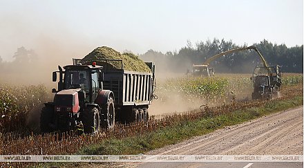 Неформальное знакомство с будущей профессией: более 60 первокурсников БГСХА отправились на практику