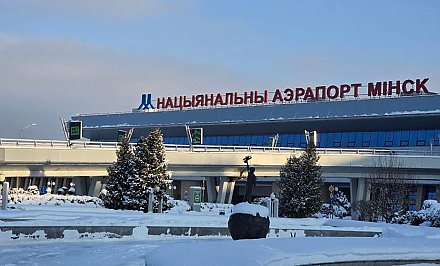 В Национальном аэропорту «Минск» усилен контроль из-за опасного вируса Нипах