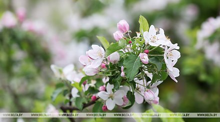 До +27°С, местами грозы. Синоптики рассказали о погоде на 24 мая 