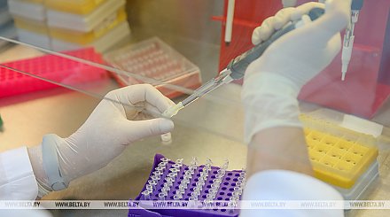 Птичий грипп набирает обороты в Польше, забиты уже миллионы особей 