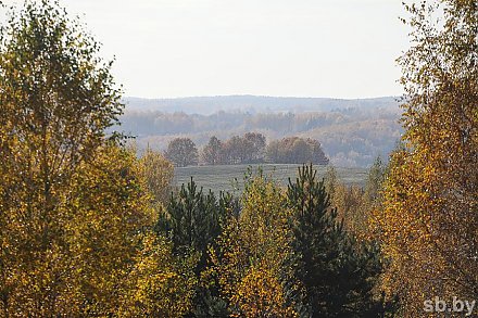 Народный календарь: что нужно бросить в воду 5 сентября, чтобы деньги сами в руки «плыли»