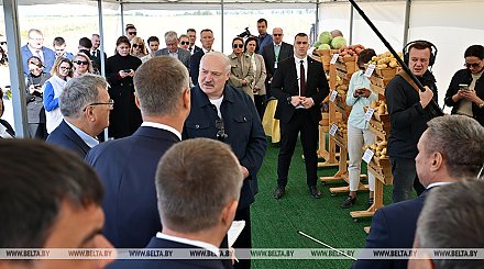 Александр Лукашенко о хранении и реализации картофеля: нужно на полную катушку подключать торговые сети