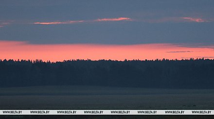Облачно и с дождями. Какой будет погода в Беларуси 5 октября