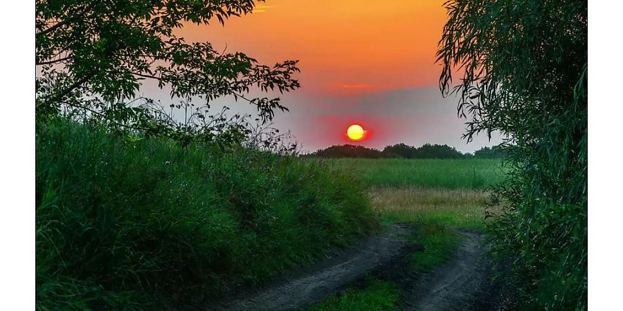 Народный календарь на 9 июля: что можно и нельзя делать, приметы и праздники