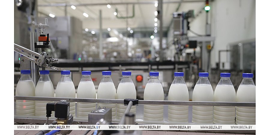 Производство сельхозпродукции в Беларуси в январе-ноябре увеличилось на 2,6%