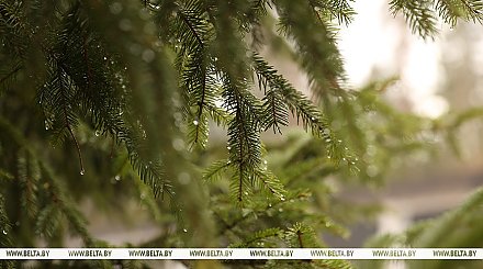 Дмитрий Рябов о прогнозе на неделю с 5 по 11 мая. Стоит ли переживать садоводам?