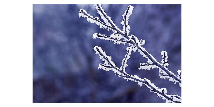 В Гродненской области на Рождество ожидаются морозы