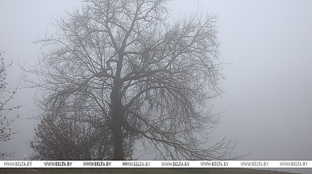 Дождь, мокрый снег и гололед. Какой будет погода в Беларуси в первый день зимы