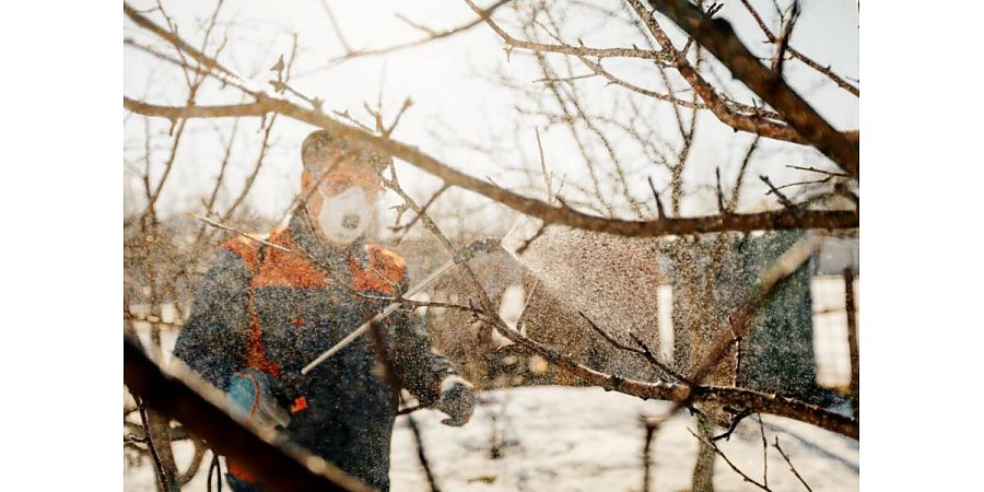 Садим, опрыскиваем, укрываем