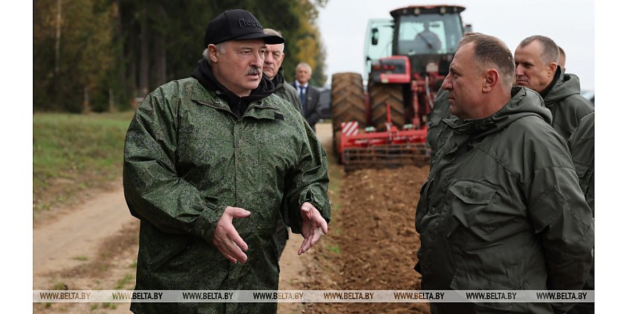 Как за счет вымочек добрать до 10% урожая. Александр Лукашенко продемонстрировали технологию на президентском поле