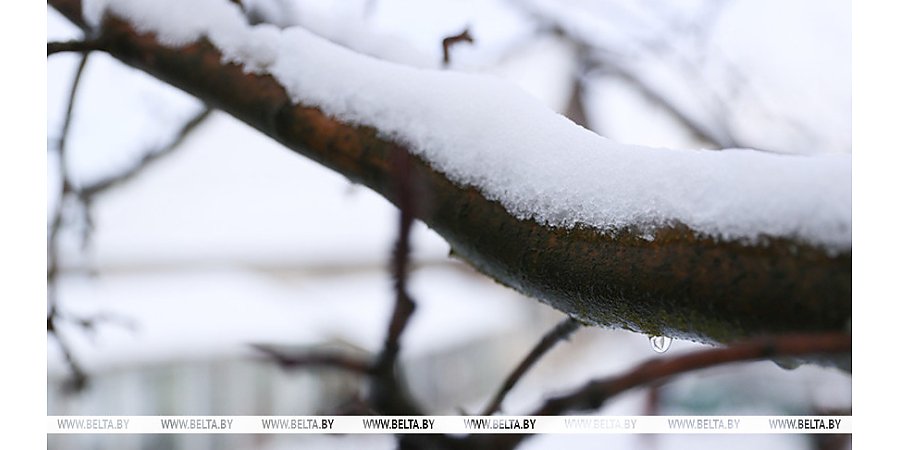 Теплый день с небольшими осадками ожидается в Беларуси 2 марта