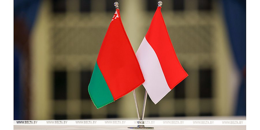 Дорожная карта развития сотрудничества между Беларусью и Индонезией одобрена президентами 