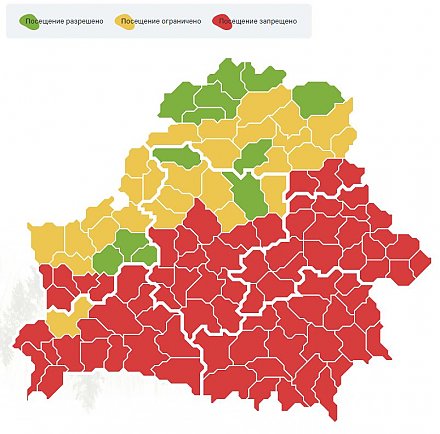 В 5 районах Гродненской области запрещено посещать леса